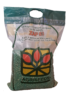 ZAP63